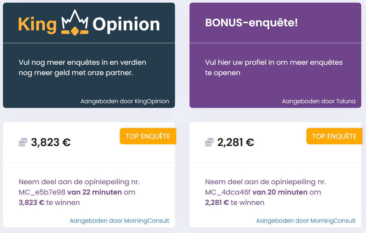 Kies de Meest Winstgevende Enquêtes